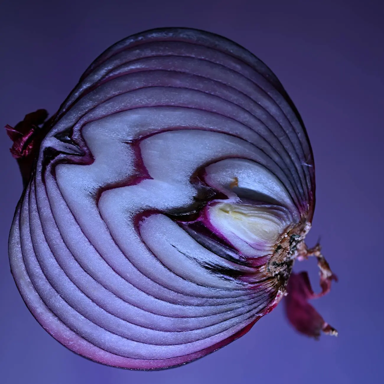 Dehydrated Onion Flakes image